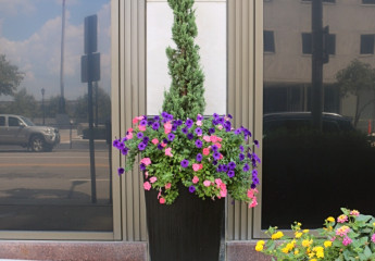 Downtown Streetscapes - Summer