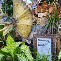 Delaware Garden Center - Summer
