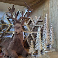 Delaware Garden Center - Holidays 2025