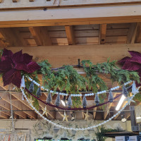 Delaware Garden Center - Holidays 2025