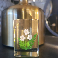 Delaware Garden Center - Spring