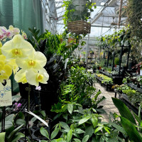 Dublin Garden Center - Late Spring