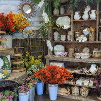 Dublin Garden Center - Late Spring