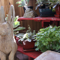 New Albany Garden Center - Spring