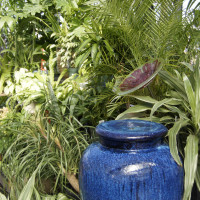 New Albany Garden Center - Spring