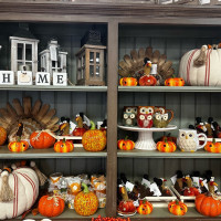 Dublin Garden Center - Fall