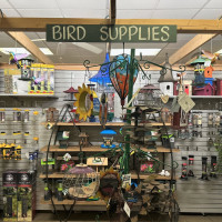 Dublin Garden Center - Fall