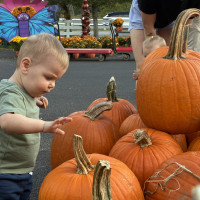 New Albany Garden Center - Fall