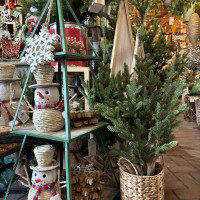 New Albany Garden Center - Holidays 2025