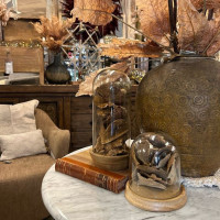 Oakland HOME - Fall