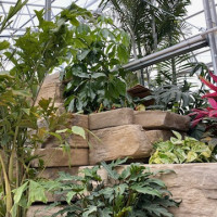 Delaware Garden Center - Greenhouse