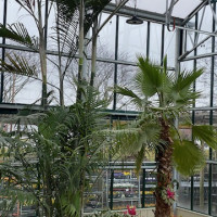Delaware Garden Center - Greenhouse