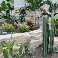 Delaware Garden Center - Greenhouse