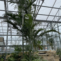 Delaware Garden Center - Greenhouse