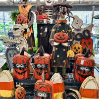Dublin Garden Center - Fall