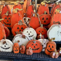 Dublin Garden Center - Fall