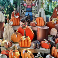 Dublin Garden Center - Fall
