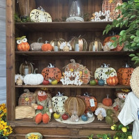 Dublin Garden Center - Fall