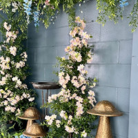 Dublin Garden Center - Spring