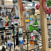 Dublin Garden Center - Spring