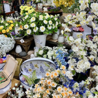 Dublin Garden Center - Spring