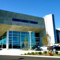 Commercial Landscape--Car Dealership