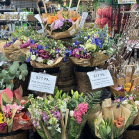 Dublin Garden Center - Spring