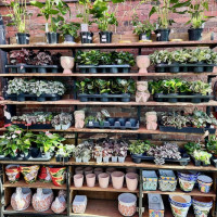 Dublin Garden Center - Late Spring - Early Summer