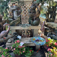 Dublin Garden Center - Late Spring - Early Summer