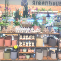 Dublin Garden Center - Pots