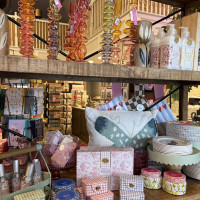 Oakland INSIDE & OUT - Spring