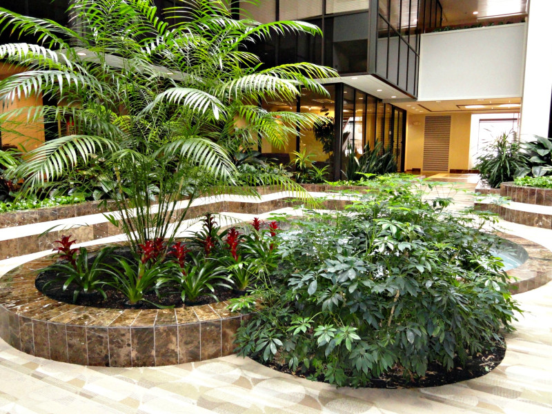 Interiorscapes Oakland Nurseries