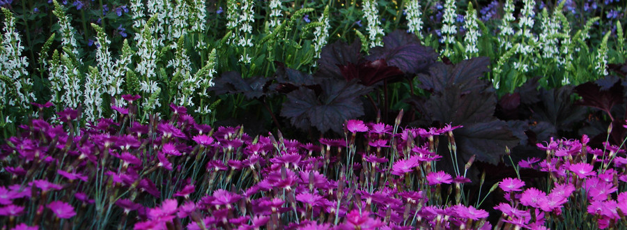 Dublin Garden Center Oakland Nursery