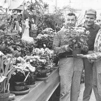 Gus Reiner in the greenhouse