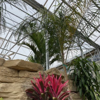 Delaware Garden Center - Greenhouse