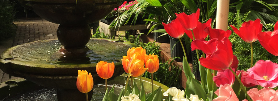 New Albany Garden Center Oakland Nursery