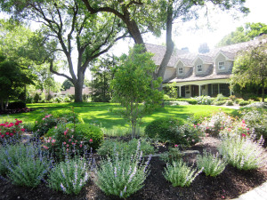 Purchase Gift Cards Online Oakland Nursery