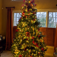 Residential Holiday tree