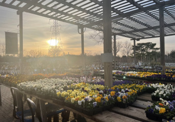 New Albany Garden Center - Spring